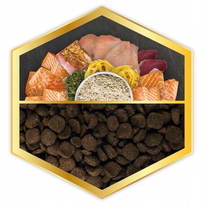 FORZECAN - Premium Łosoś & Ryż [15 kg]